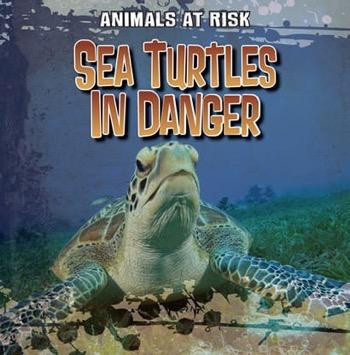 Sea Turtles in Danger by Michael Portman, 9781433958021