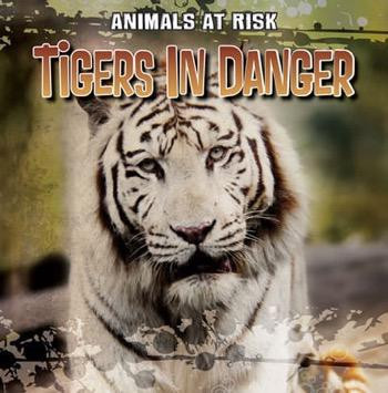 Tigers in Danger by Michael Portman, 9781433958106