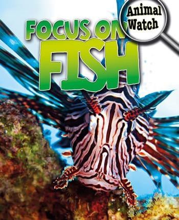 Focus on Fish by Stephen Savage, 9781433959844