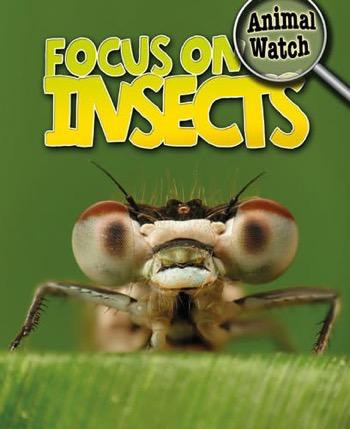 Focus on Insects by Stephen Savage, 9781433959875