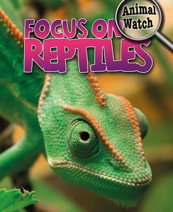 Focus on Reptiles by Stephen Savage, 9781433959936