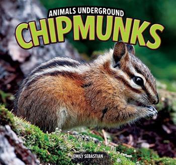 Chipmunks by Emily Sebastian, 9781448849543
