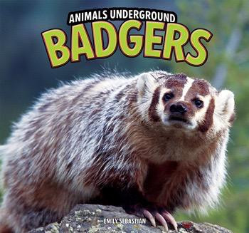 Badgers - 9781448849550 by Emily Sebastian, 9781448849550
