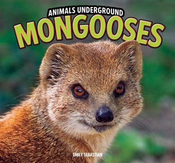 Mongooses - 9781448849567 by Emily Sebastian, 9781448849567