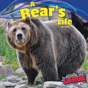 A Bear's Life - 9781448849772 by Sara Antill, 9781448849772