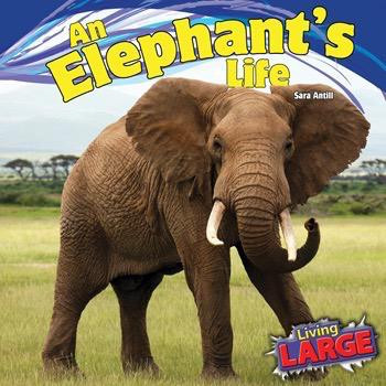 An Elephant's Life by Sara Antill, 9781448849796