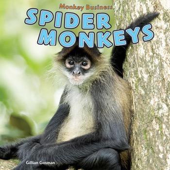 Spider Monkeys - 9781448850204 by Gillian Houghton Gosman, 9781448850204