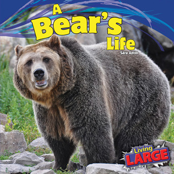 A Bear's Life - 9781448851010 by Sara Antill, 9781448851010