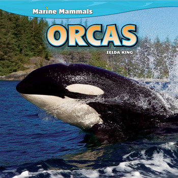 Orcas - 9781448851454 by Zelda King, 9781448851454