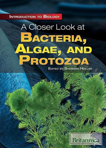 A Closer Look at Bacteria, Algae, and Protozoa by Sherman Hollar Associate Editor, Compton's by Britannica, 9781615305346