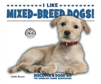 I Like Mixed-Breed Dogs! by Linda Bozzo, 9780766038455