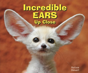 Incredible Ears Up Close by Melissa Stewart, 9780766038912