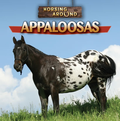 Appaloosas by Barbara M. Linde, 9781433964565
