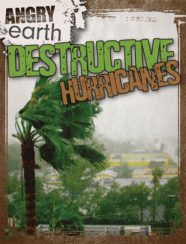 Destructive Hurricanes by Michael Portman, 9781433965371