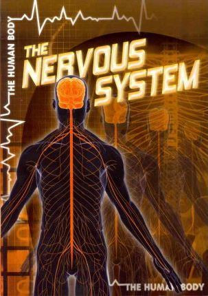 The Nervous System - 9781433965906 by Heather Moore Niver, 9781433965906