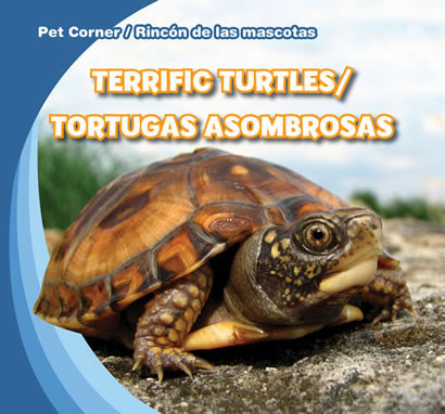 Terrific Turtles / Tortugas asombrosas (Bilingual Edition) by Rose Carraway, 9781433966477