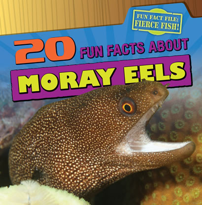 20 Fun Facts About Moray Eels by Heather Moore Niver, 9781433969836