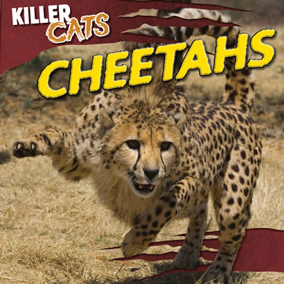 Cheetahs - 9781433969997 by R. P. Harasymiw, 9781433969997