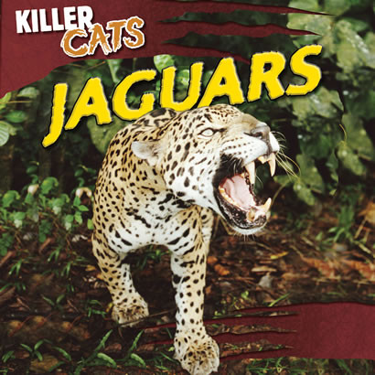 Jaguars - 9781433970030 by Grace Vail, 9781433970030