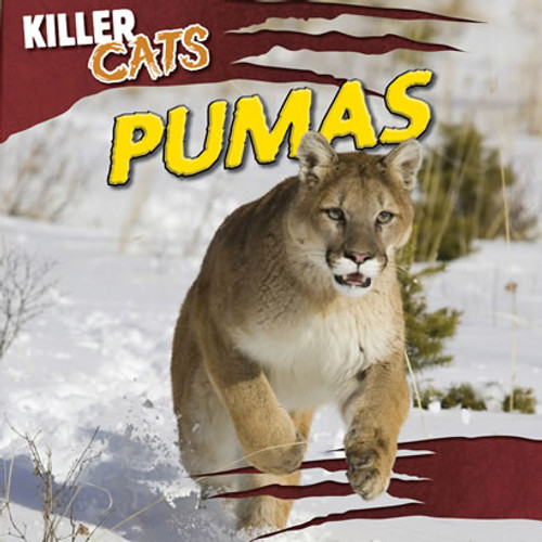 Pumas - 9781433970115 by Wade Karlin, 9781433970115