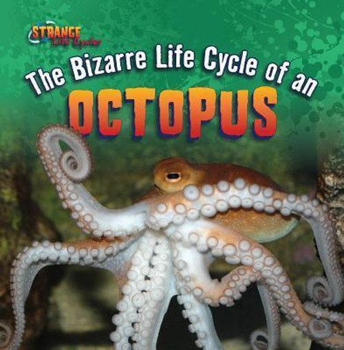 The Bizarre Life Cycle of an Octopus - 9781433970566 by Therese M. Shea, 9781433970566