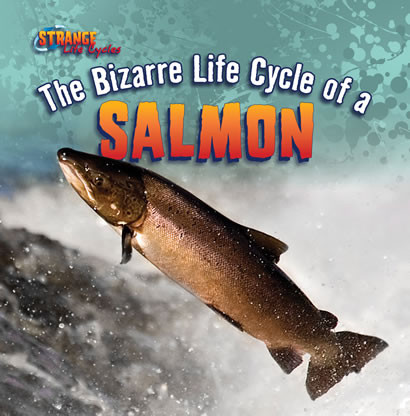 The Bizarre Life Cycle of a Salmon by Mark J. Harasymiw, 9781433970597