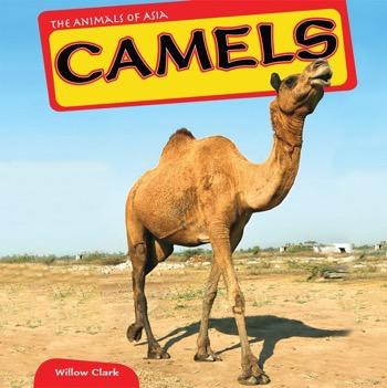 Camels - 9781448874163 by Willow Clark, 9781448874163