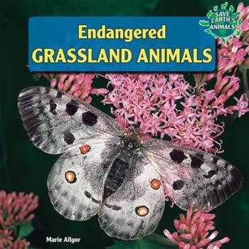 Endangered Grassland Animals by Marie Allgor, 9781448874255
