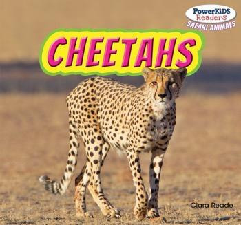 Cheetahs - 9781448874644 by Clara Reade, 9781448874644