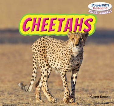 Cheetahs - 9781448874712 by Clara Reade, 9781448874712