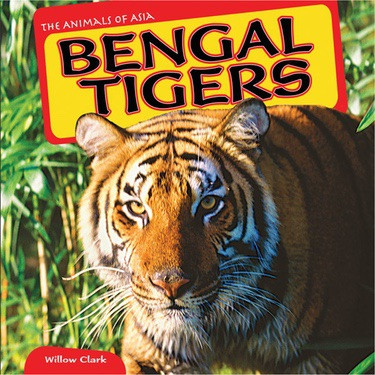 Bengal Tigers - 9781448874903 by Willow Clark, 9781448874903