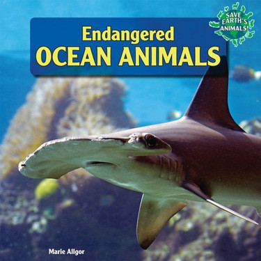 Endangered Ocean Animals - 9781448874934 by Marie Allgor, 9781448874934