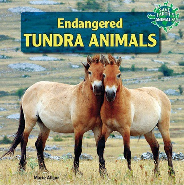 Endangered Tundra Animals - 9781448874941 by Marie Allgor, 9781448874941