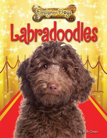 Labradoodles - 9781448878574 by Ruth Owen, 9781448878574