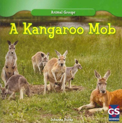 A Kangaroo Mob - 9781433982002 by Juliet Burke, 9781433982002