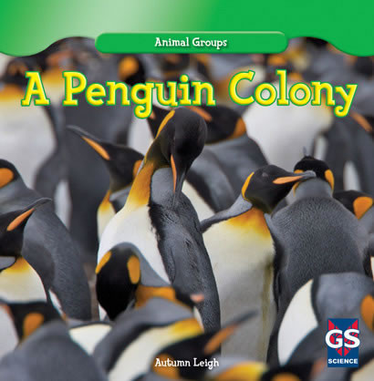 A Penguin Colony by Autumn Leigh, 9781433982095