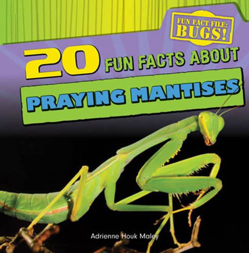20 Fun Facts About Praying Mantises by Adrienne Houk Maley, 9781433982408
