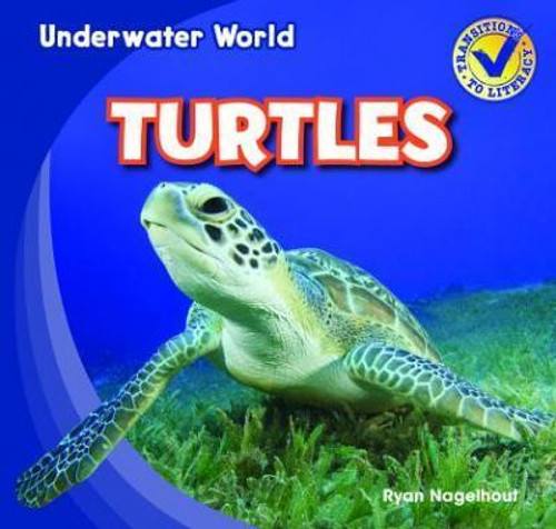 Turtles - 9781433985799 by Ryan Nagelhout, 9781433985799