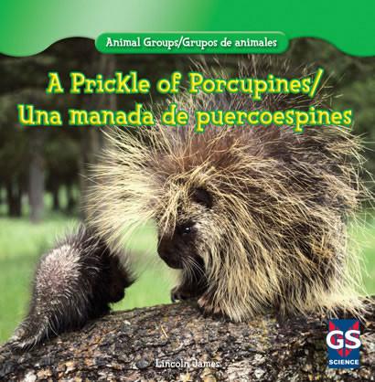 A Prickle of Porcupines / Una manada de puercoespines by Lincoln James, 9781433988127