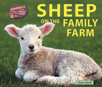 Sheep on the Family Farm - 9781464403613 by Chana Stiefel, 9781464403613