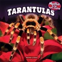 Tarantulas - 9781448896325 by Rachel Lynette, 9781448896325
