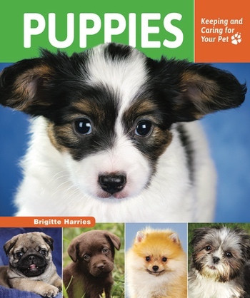 Puppies (Keeping and Caring for Your Pet) by Brigitte Harries, 9780766041875