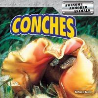 Conches - 9781477707968 by Bethany Baxter, 9781477707968