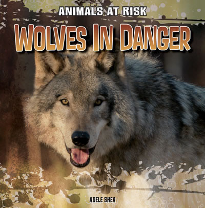 Wolves in Danger by Abigail Shea, 9781433991783