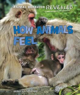 How Animals Feel by Rebecca Stefoff, 9781608705115