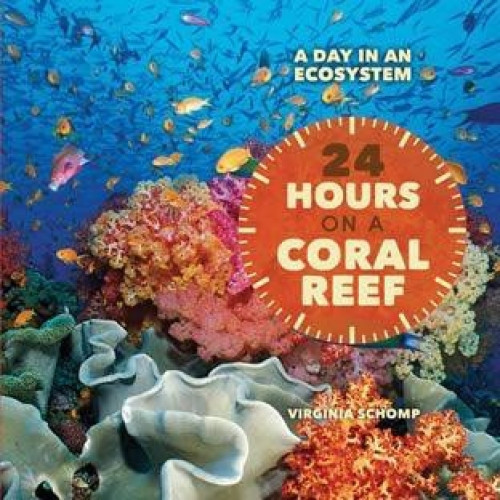 24 Hours on a Coral Reef by Virginia Schomp, 9781608708925