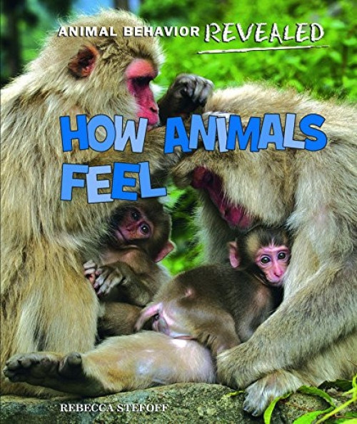 How Animals Feel - 9781627120227 by Rebecca Stefoff