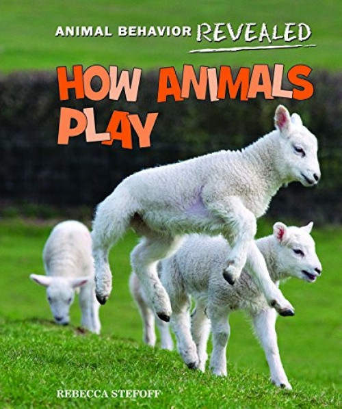 How Animals Play - 9781627120234 by Rebecca Stefoff