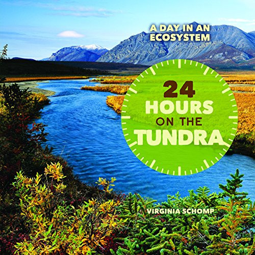 24 Hours on the Tundra - 9781627120692 by Virginia Schomp