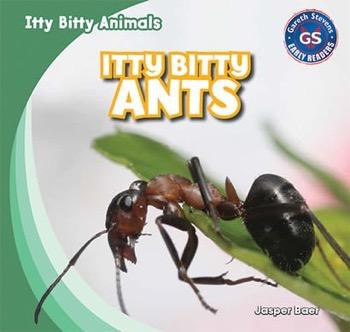 Itty Bitty Ants by Jasper Baer, 9781433998744